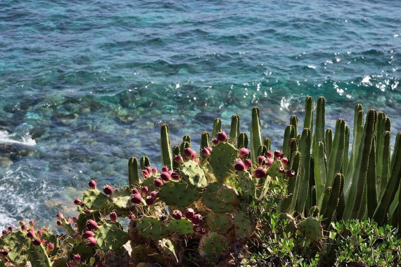 Aparthotel El Cerrito Playa Cancajos.- BreNa Baja  Exteriör bild